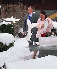 snowy dove release