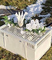 white dove release